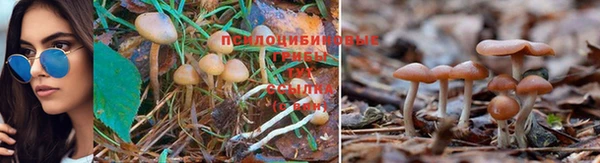синтетический гашиш Карталы