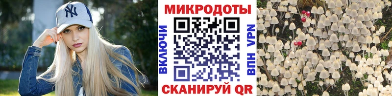 мега вход  Энгельс  Галлюциногенные грибы Magic Shrooms  что такое наркотик 