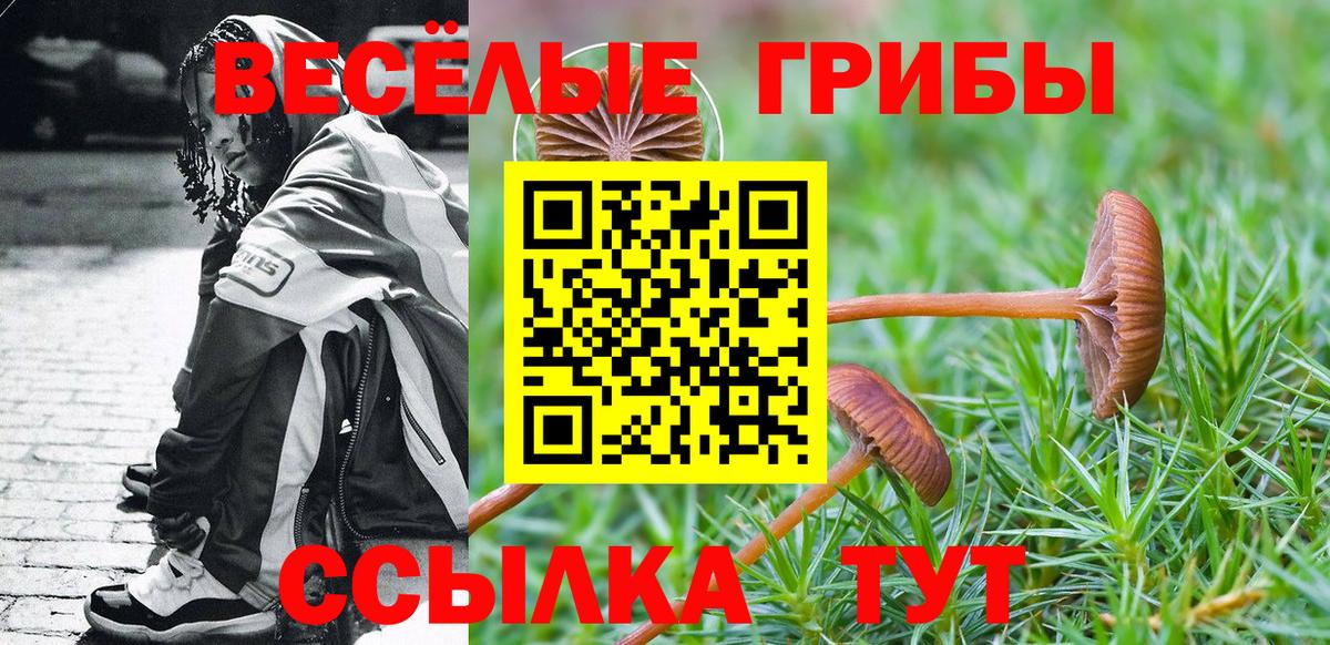 Псилоцибиновые грибы Magic Shrooms Энгельс