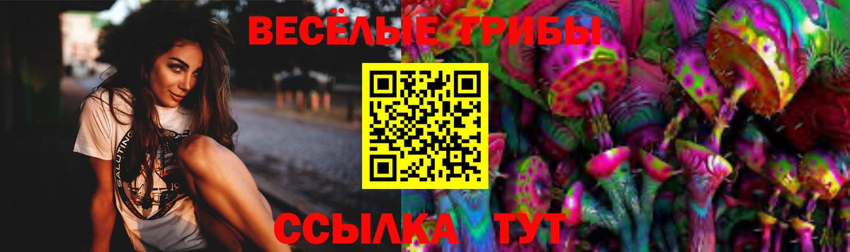 Энгельс  Галлюциногенные грибы Psilocybine cubensis  Вход с VPN 